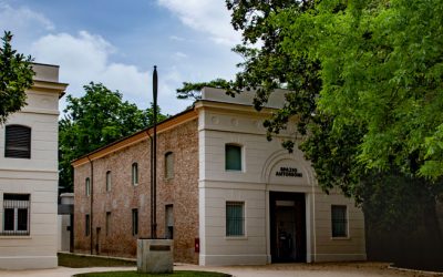 Spazio Antonioni: chiusura temporanea per allestimento della nuova mostra