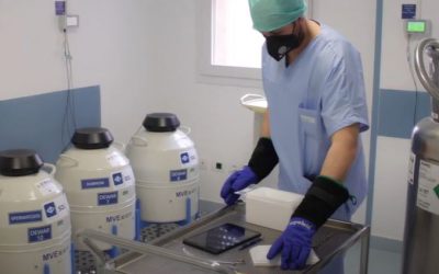 Pma Lagosanto: “Personale riorganizzato senza penalizzazioni”