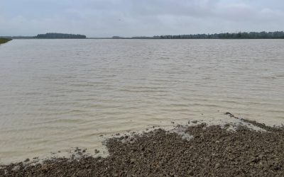 Post alluvione, 2,8 milioni per ripristinare la strada provinciale Cardinala