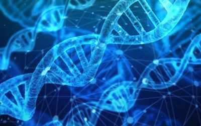 Gli Scienziati Irriducibili tornano con il Festival “How i Met Science”