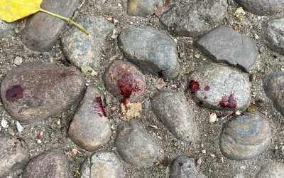 Aggressione in via Colomba. I residenti: “Servono telecamere e illuminazione”