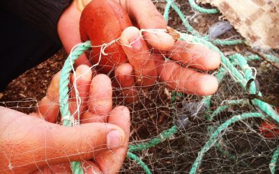 Misure aiuto contro rincari energetici. Legacoop: “Risultato importante per pesca e acquacoltura”