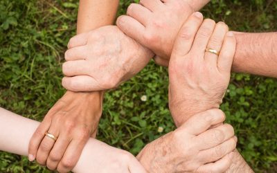 Tutela minorile e diritto di famiglia, una nuova consulente per il comune