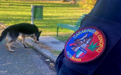 Scuola, controlli anti-droga dei carabinieri. Pizzicata una studentessa con l’hashish