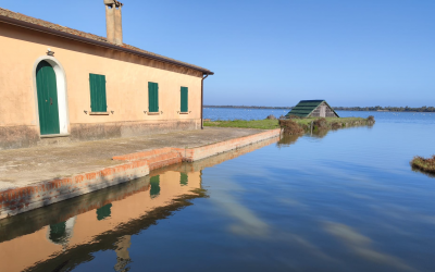 Comacchio, scontro politico sulle valli: accuse di incuria e richiesta di un piano straordinario