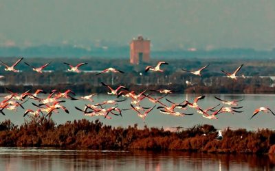 Cresce il turismo ma non è accompagnato dall’occupazione