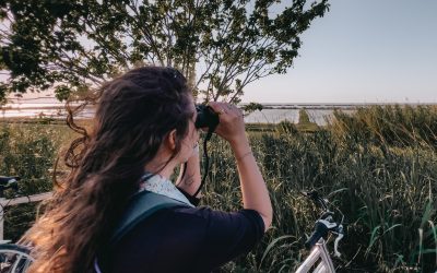 “Comacchio e il Birdwatching perduto: ritrovare l’anima della nostra fiera”