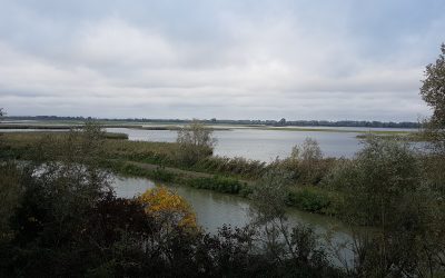 Pasqua tra natura e cultura agli ecomusei di Argenta