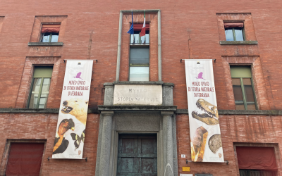 Museo di Storia Naturale, avviata la digitalizzazione del patrimonio