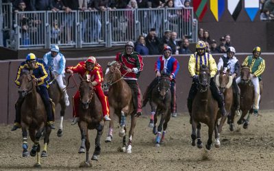 Palio di Ferrara, caccia ai favoriti: Santa Maria in Vado sogna il colpo nei cavalli