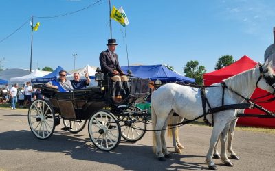 Aperti i tesseramenti 2026 della Fiera Merci e Bestiame di Poggio Renatico