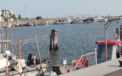 Dalla Regione arrivano 100mila euro per la pulizia del porto di Goro