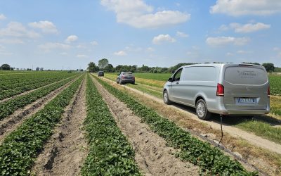 Schiacciata dalle ruote del trattore. Indaga la Procura
