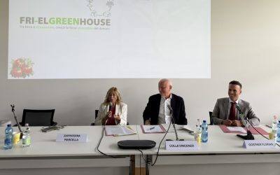 Friel-Green House investe 60 milioni nel basso ferrarese