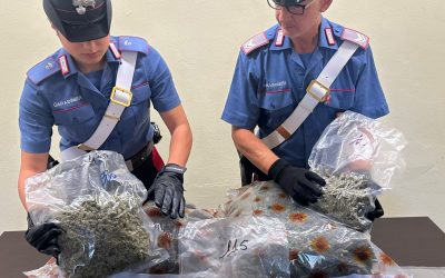 Blitz antidroga, trovati oltre 4 chili di marijuana in un luogo di lavoro