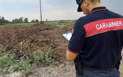 Mesola, sette aziende agricole denunciate per smaltimento illecito di pollina