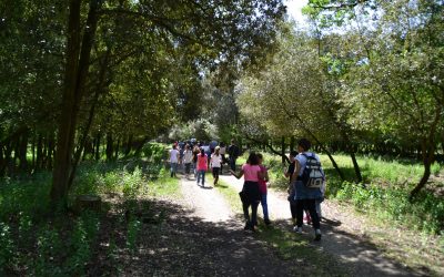 Nasce la 1ª edizione della Bosco Green Run
