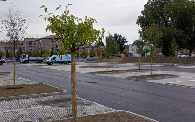 La Polizia Locale ferma e sanziona due parcheggiatori abusivi