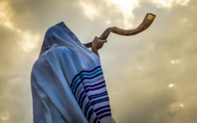 «Io, attivista ebreo, sulla Global Sumud Flotilla nello Yom Kippur»