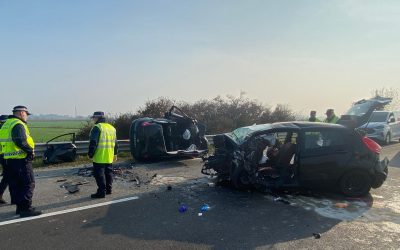 Strage di Monestirolo. La verità da una consulenza cinematica