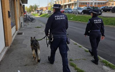 Chloe fiuta la droga e gli agenti entrano in azione: fermato in possesso di hashish