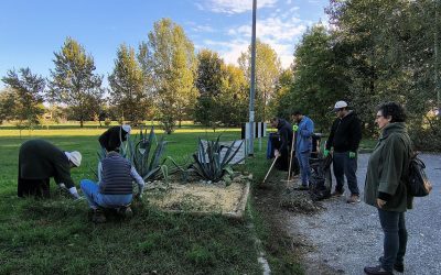 Progetto Isa: al lavoro dell’area verde del pontino Tagliapietra