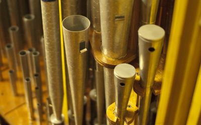 “Il Corale nella musica organistica europea”: sesto appuntamento con “In Dulci Jubilo” alla Collegiata