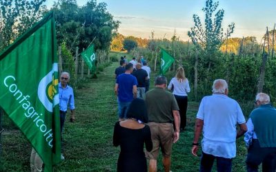 A Formignana la “Passione Vino” di Confagricoltura Ferrara celebra le Doc del Bosco Eliceo