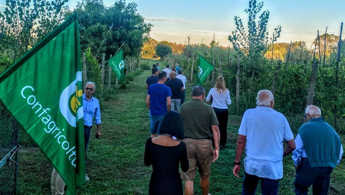 Visite ai vigneti