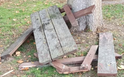 “Non si investe dove nessuno denuncia”: bufera a Mesola dopo il post della sindaca Duò