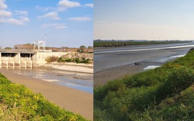 “Svuotato il Cavo Napoleonico senza preavviso: a rischio la biodiversità”