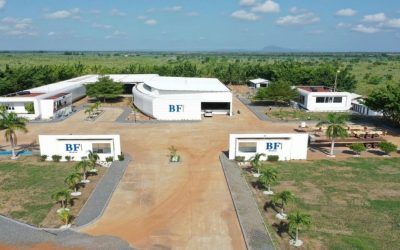 Bf International (Gruppo Bf) alla Cop30 presenta le BFuture Farms