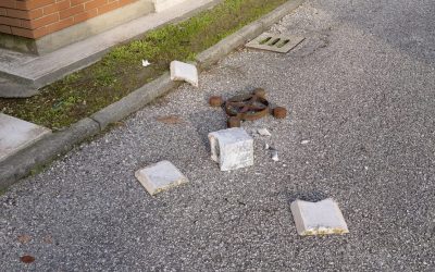 Serie di furti e danneggiamenti in Certosa. Indagano i carabinieri