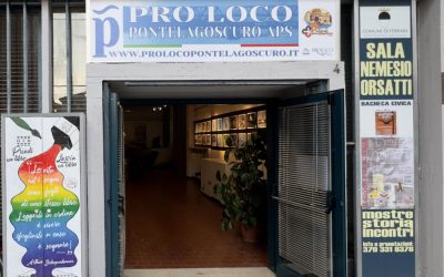 “Tra arte e passione”: la nuova mostra che accomuna quattro amici