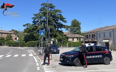 Tenta il furto nell’azienda agricola, incastrato dalle telecamere di sicurezza