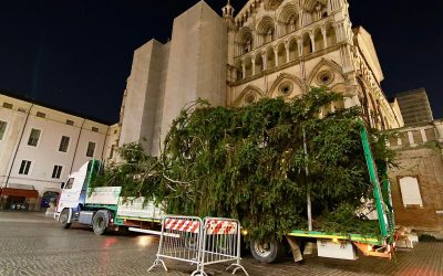 Natale. È arrivato l’albero davanti alla Cattedrale
