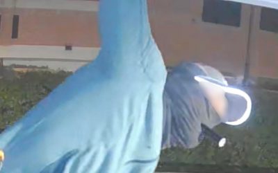 Fotografa il ladro che gli vuole svaligiare la casa