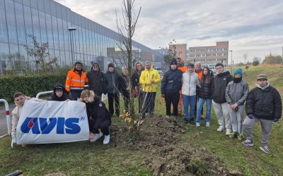 Nuovi alberi al Giardino dei Donatori