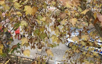 Ancora un ciclista investito in corso Isonzo