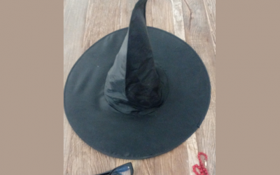 Perché tanto odio nei confronti di Francesca Albanese?