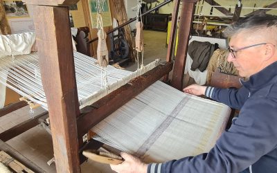 Nuovo appuntamento con le visite guidate al Museo La Tratta