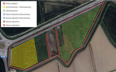 “Fai crescere il Bosco della Filatura”. Al via il progetto