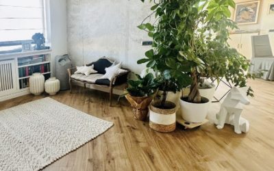 Armony Floor: scegliere il parquet con criterio tecnico, oltre l’aspetto visivo