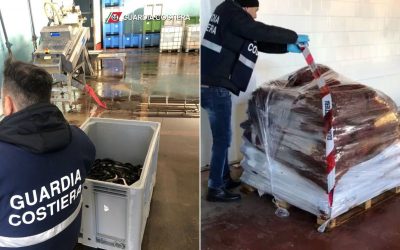 Comacchio. Sequestrate più di 2 tonnellate di vongole