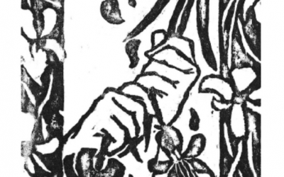 “Erbario”: alla Bassani il viaggio illustrato di Debora Pugliesi