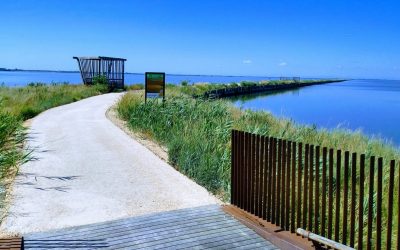 La Fiamma olimpica solca le acque delle Valli di Comacchio