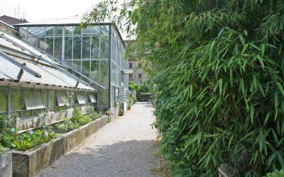 Unife e fondazione Ef: un volume gratuito per i 250 anni dell’Orto Botanico