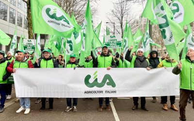 Mercosur-Ue. Momentaneo respiro di sollievo per Cia-agricoltori