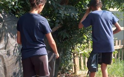 Giovani protagonisti della valorizzazione del territorio