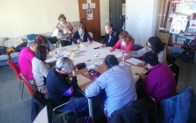 Sinergicamente riparte: al Csv Terre Estensi il bilancio dell’edizione 2025 e il lancio del programma 2026